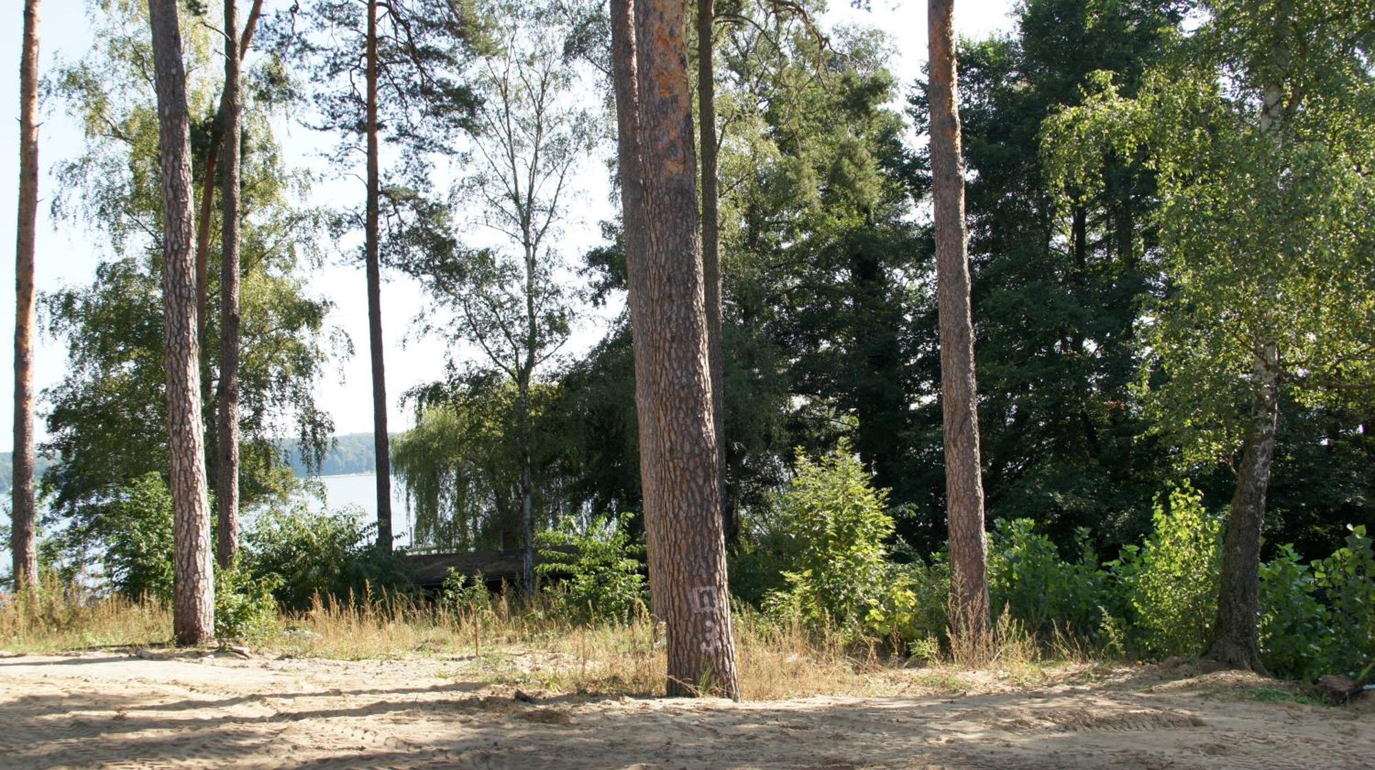 Marina Maisonette Seeblick Mit Pool Und Sauna Bad Saarow-Pieskow Exterior foto