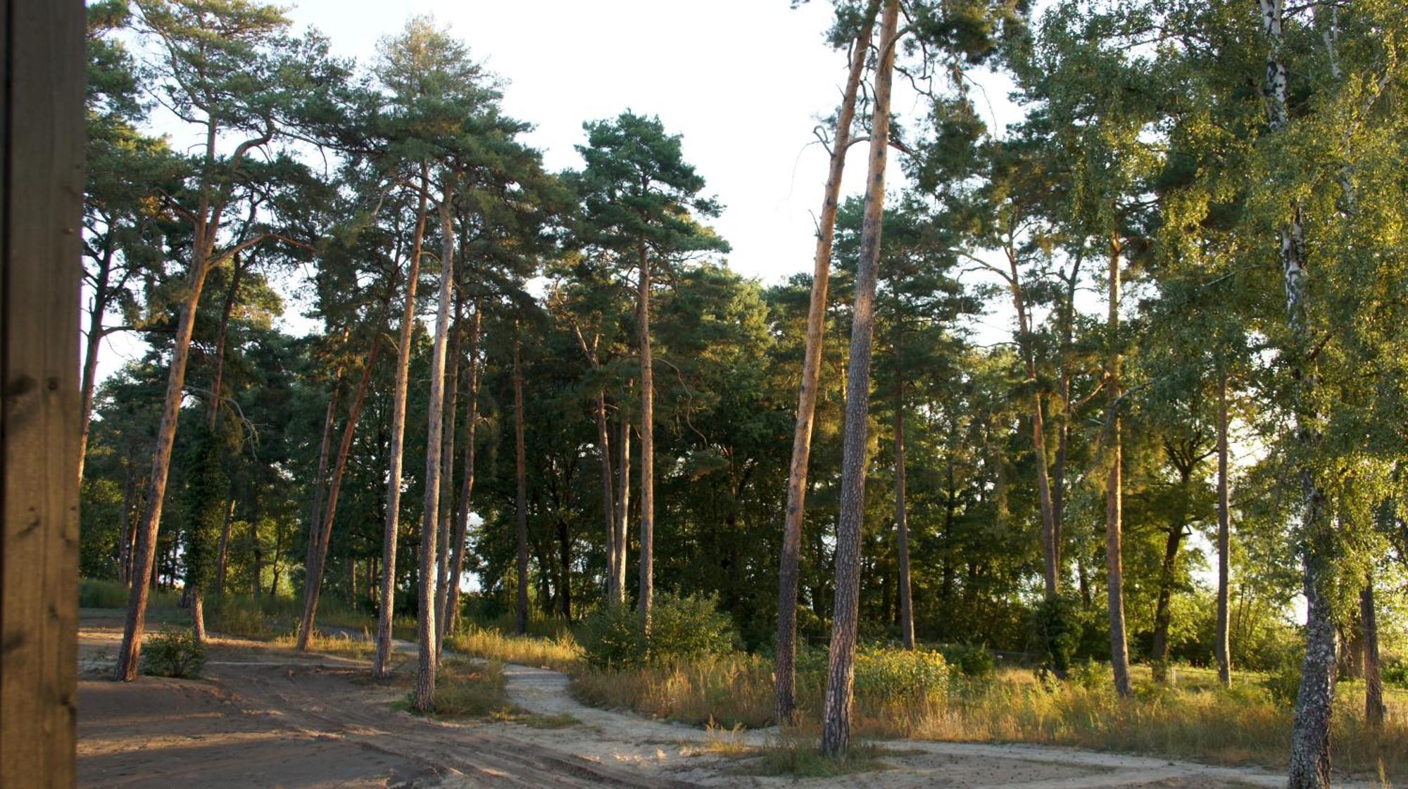 Marina Maisonette Seeblick Mit Pool Und Sauna Bad Saarow-Pieskow Exterior foto